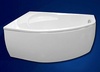 Экран для ванны Vagnerplast Flora (L)