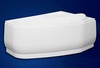 Экран для ванны Vagnerplast Selena 147 (R)