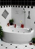 Экран для ванны Vagnerplast Selena 160 (L)