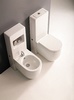 Крышка-сиденье Kerasan Flo 318701 с микролифтом