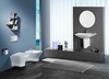 Крышка-сиденье Roca Nexo 80164A004 с микролифтом